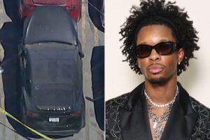https://jewellerybaazar.com/d4vd-mayat-penemuan-tragis-dalam-tesla-yang-terkait-dengan-musisi-viral